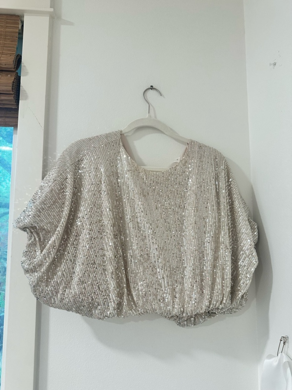 The Impeccable Pig Champagne Sequin Batwing Top